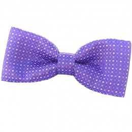 Boys Purple Dot Dickie Bow Tie on Elastic